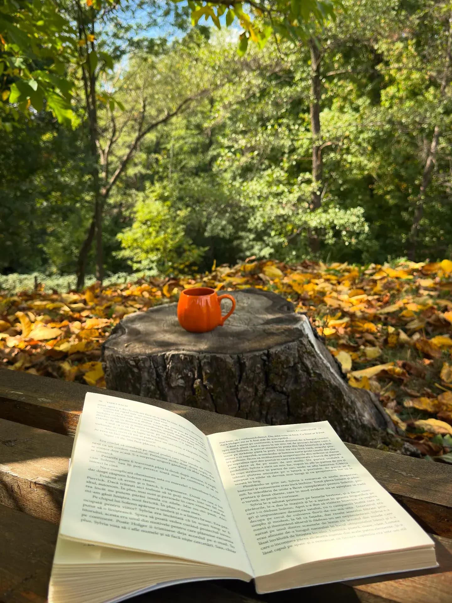 Detaliu exterior Tiny House Transalpina, cu peisaj montan în fundal