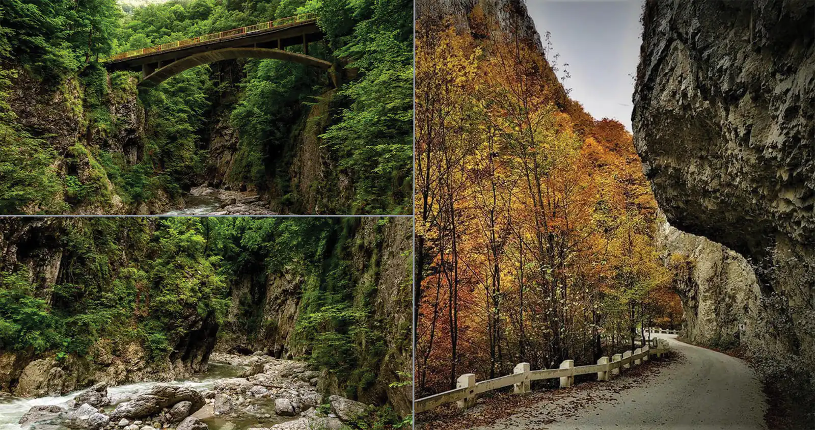 Cheile Oltețului